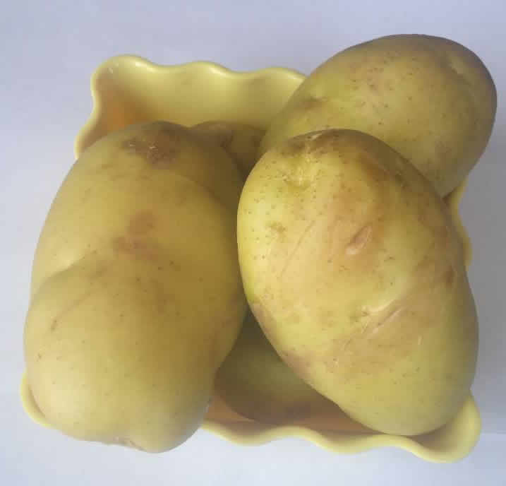 富硒马铃薯种植技术（富硒土豆）喷施富硒有机肥